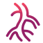 Vascular Surgery